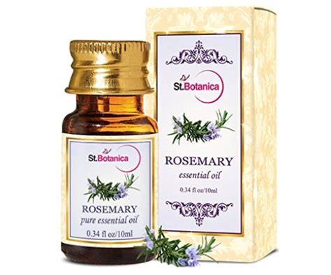 Top 10 Best Rosemary Oil Brands in India: Prices and Reviews (2022)