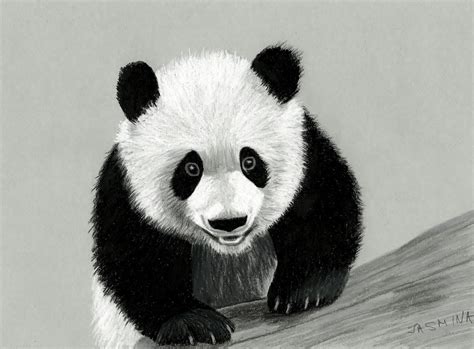 Panda colored pencil drawing by JasminaSusak on DeviantArt