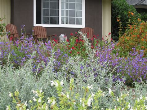 Plants for Xeriscaping - Landscaping Network