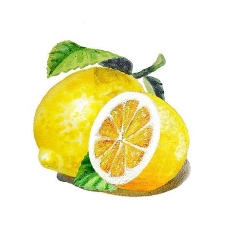 https://render.fineartamerica.com/images/rendered/default/print/8/8/break/images-medium-5/juicy ...