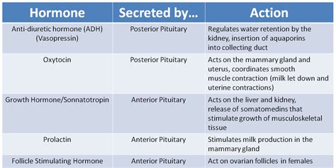 Endocrine Hormones: Origin & Function Chart - NCLEX Quiz