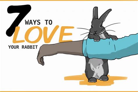 7 Ways to Show Your Rabbit You Love Them