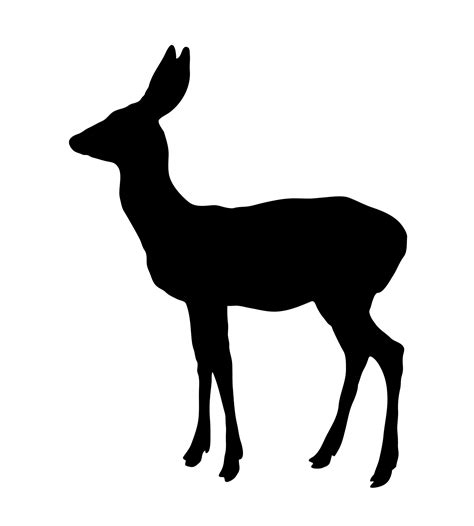 Deer Silhouette Free Stock Photo - Public Domain Pictures - ClipArt Best - ClipArt Best