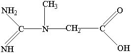 creatine