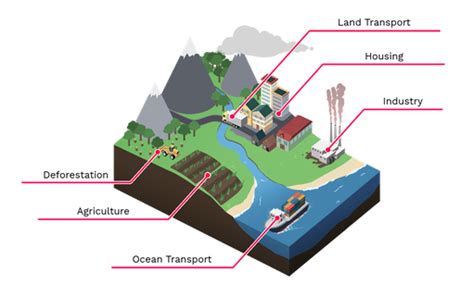 Anthropogenic Climate Change - Labster