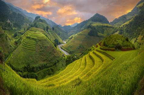 Rice fields of terraced on river at high mountain | Landscape, Nature, Trip