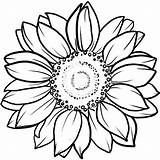 Sunflower Coloring Page Template Pages sketch template