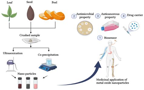 Catalysts | Free Full-Text | A Review on Green Synthesis of Nanoparticles and Their Diverse ...