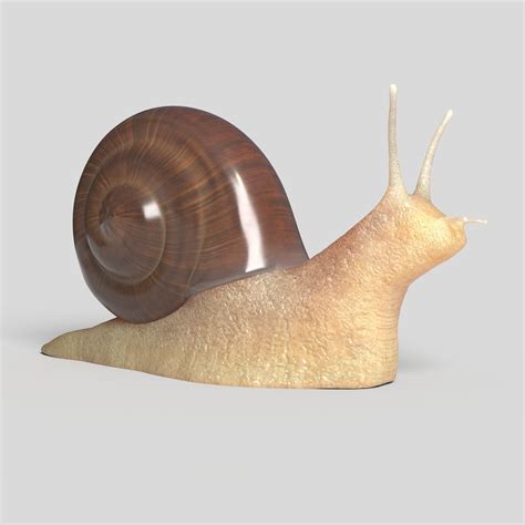 Snail snail 3D | CGTrader