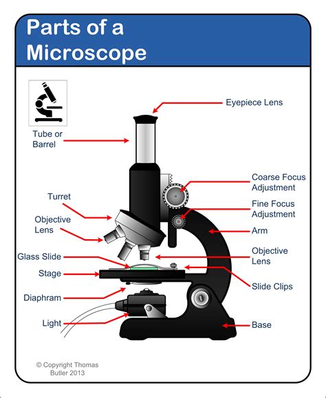 Microscope - diagram Tom Butler | Technical Drawing and Illustration Projects | Pinterest | Toms