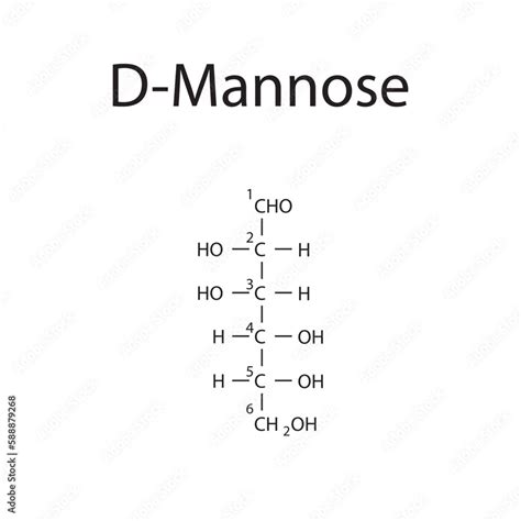 Straight chain form chemical structure of D-Mannose sugar. Scientific vector illustration on ...