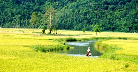 Thuyết minh về quê hương em (8 Mẫu) - Văn 10