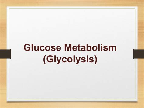 aerobic vs anaerobic glycolysis