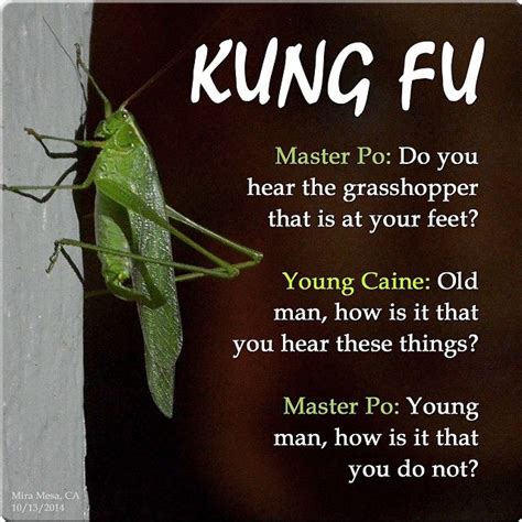 "Do you hear the grasshopper that is at your feet?" | Training quotes ...