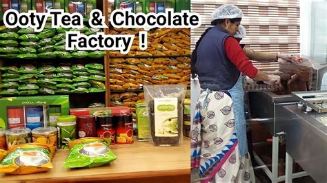 Ooty Tea Factory || Ooty Chocolate Factory || Rose Garden ||Places to ...