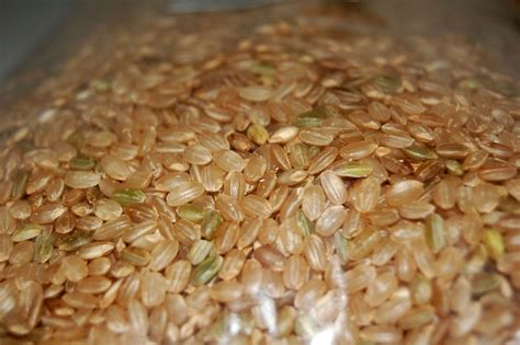 Brown Rice, GBR or GABA Rice and its Health Benefits | HubPages