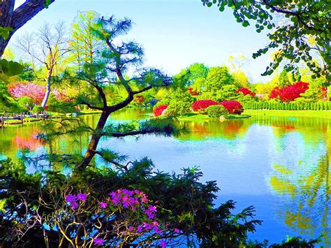 Japanese Garden In Spring Painting by Susanna Katherine - Fine Art America