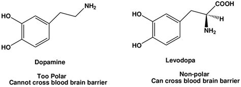 Carbidopa Levodopa - Uses, Dosage, and Side Effects