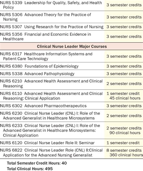 Clinical nurse leader curriculum (required courses), School of Nursing ...