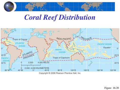 PPT - Chapter 16 The Oceans, Coastal Processes, and Landforms PowerPoint Presentation - ID:626726