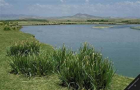 Wildlife - The Euphrates River