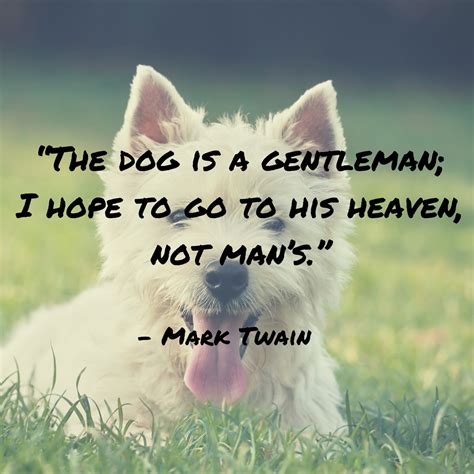 Unique Dog Quotes - werohmedia