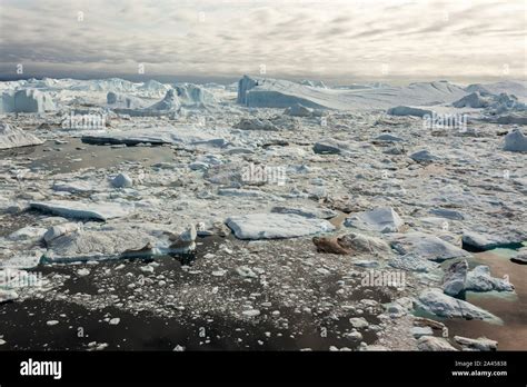 Icebergs in summer in Disko Bay (Greenland Stock Photo - Alamy