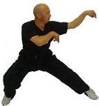 Praying Mantis Kung Fu Academy. Sydney Chinese martial arts & wushu school. NSW Australia