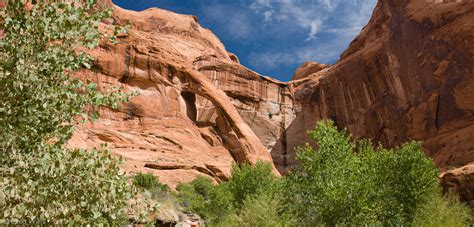 Coyote Gulch Day Hike - Greg Willis