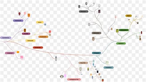 Deeeep.io Evolution Phylogenetic Tree Life Diagram, PNG, 960x540px, Deeeepio, Animal, Diagram ...