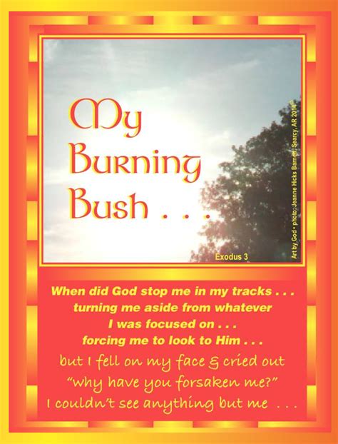 My Burning Bush . . . | Jeanne H Barnett's Blog