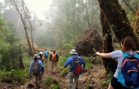 Tropical Ecology and Sustainability – Quetzal Education Research Center