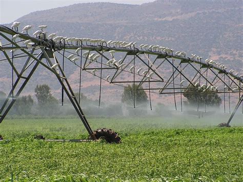 Agriculture In Israel: History and Current Agriculture Technologies