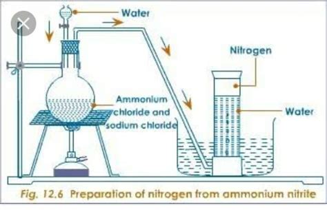 Nitrogen: Properties, preparation and Nitrogen cycle - 2023