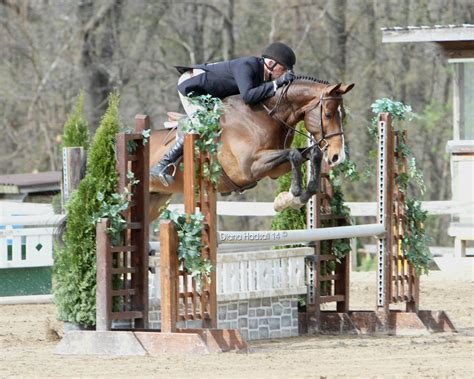 Stoney Ridge Farm | Oxford MI