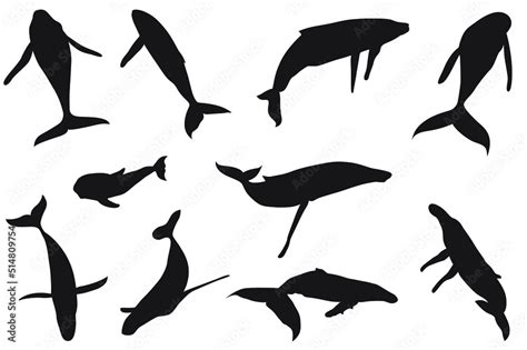 whale Silhouette Vector file for download Stock Vector | Adobe Stock