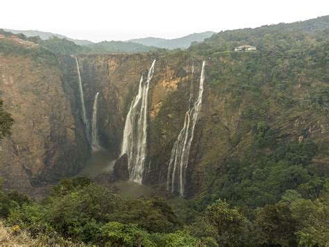 Birding in Jog Falls - Roaming Owls