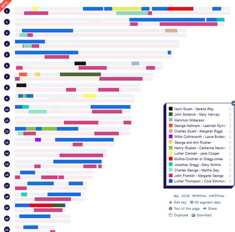 The Ultimate Family Historians: Using DNA Painter to reconstruct ancestral DNA