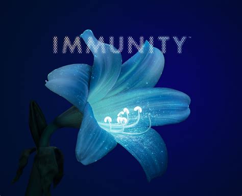 Immunity collection – Natural immune coat of the bee.