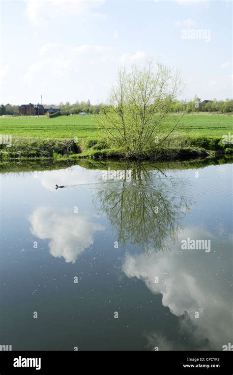 river avon; stratford upon avon; warwickshire Stock Photo - Alamy