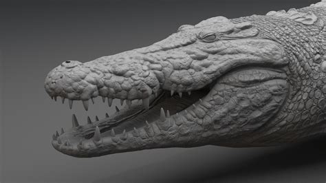 Crocodile Sculpting Tutorial by Dmytro Teslenko – zbrushtuts