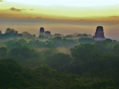 Maya Ruins at Tikal: Returned to the Jungle, A Solstice Beginning | WilderUtopia.com