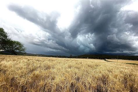 Two tornadoes seen as severe storms sweep across Queensland - ABC News