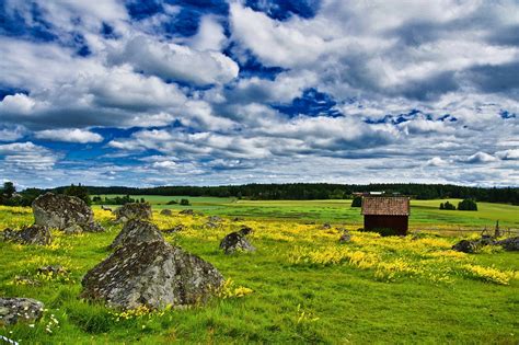 Village Countryside Meadow - Free photo on Pixabay - Pixabay