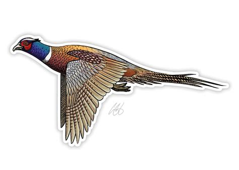 Pheasant Decal Sticker | Bird Dog of the Day