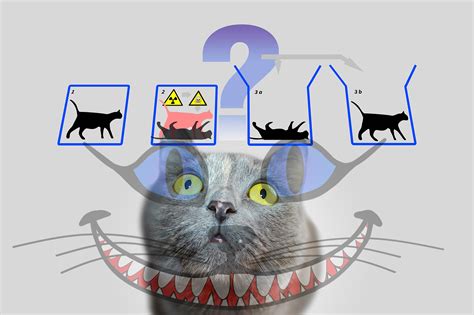 Corralling Quantum Cats: From Cheshire Cat to Schrodinger's Cat