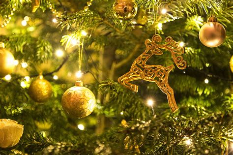 Royalty-Free photo: Gold-colored Christmas baubles and string lights | PickPik