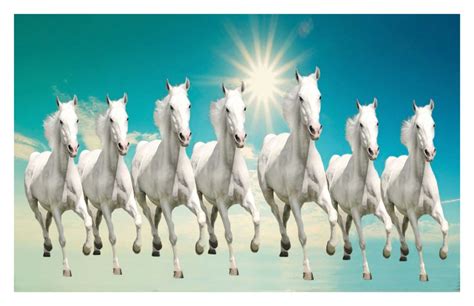 Buy Horse Poster - horse posters - running horse poster - horse wall poster - horse poster for ...