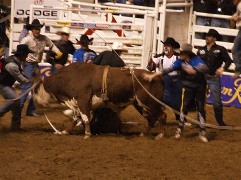 Fort Worth Texas March 8 2008 Tuff Hedeman Bull Riding Cha… | Flickr