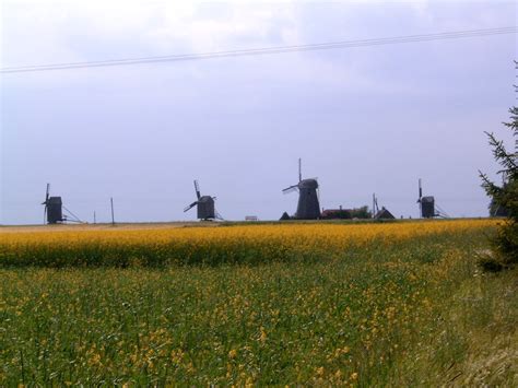 Windmills in Saaremaa Free Photo Download | FreeImages